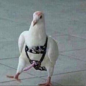 Meet your Posher, Brian